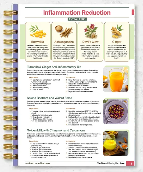 Natural Healing Handbook