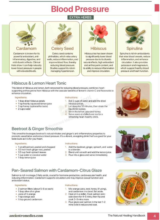 Natural Healing Handbook