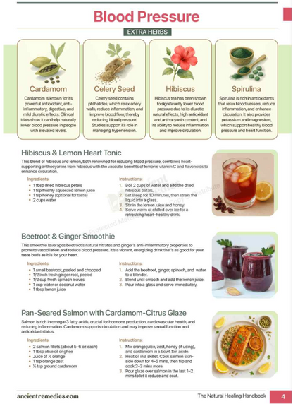 Natural Healing Handbook