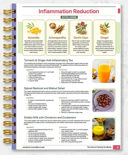 Natural Healing Handbook